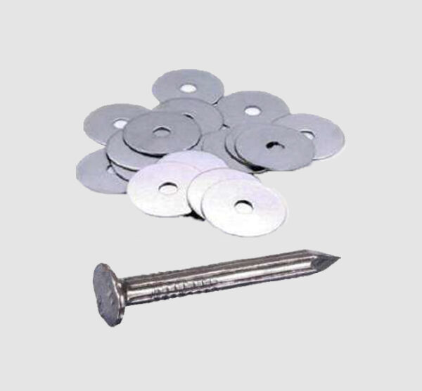 Plastering Washers & Nail